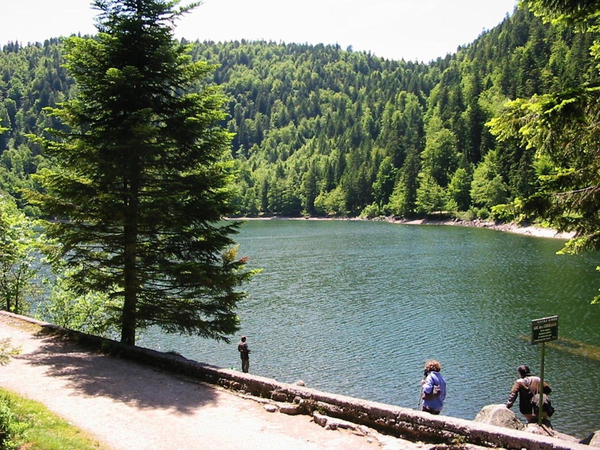 Chalet Hohneck 4 Etoiles, Vieux Bois Et Pierre, Spa, Sauna, Borne De Recharge Stosswihr Exteriör bild