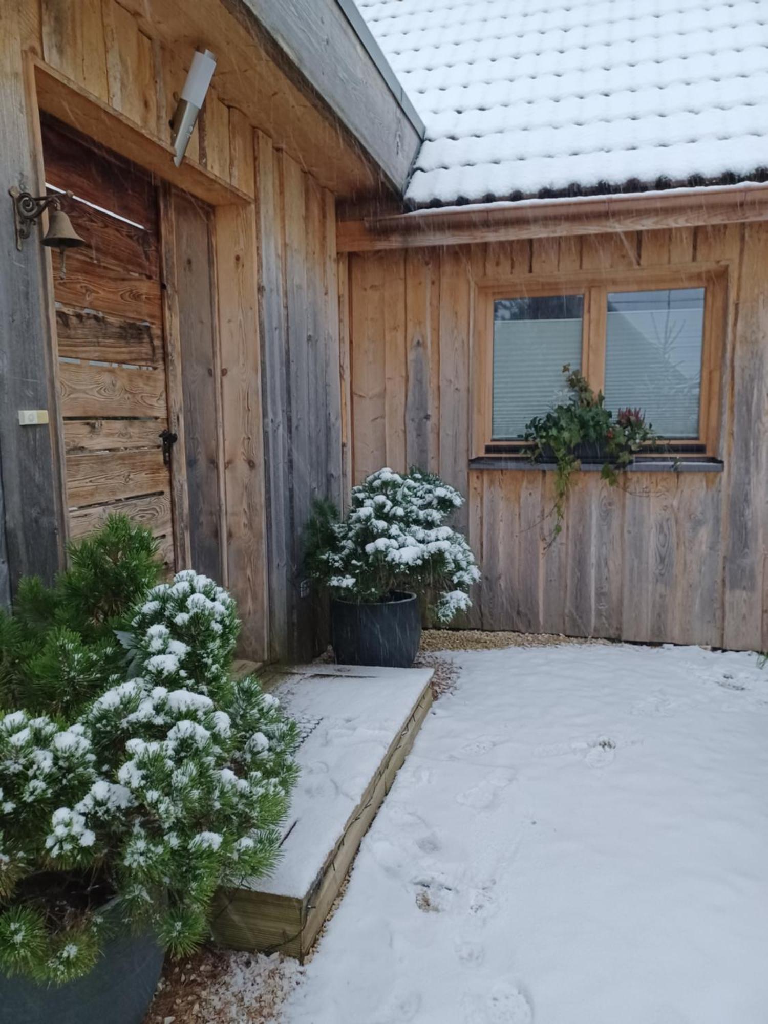 Chalet Hohneck 4 Etoiles, Vieux Bois Et Pierre, Spa, Sauna, Borne De Recharge Stosswihr Exteriör bild